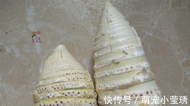 买春笋有诀窍，先别管大小，切记“2不买”，实惠好吃还特别鲜嫩