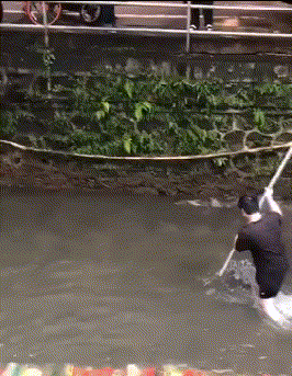 |搞笑GIF段子:如果你拿不出来的话,只能说明你对金子的渴望还不够大