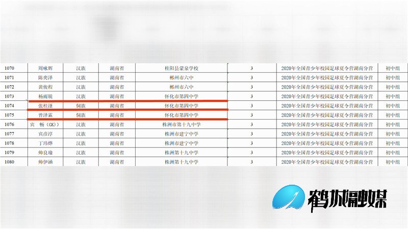 四中|怀化四中五名“足球小将”入选全省最佳