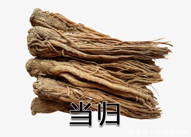 用于血虚|养血圣物:当归,还是补血调经、活血止痛、润肠通便的能手!