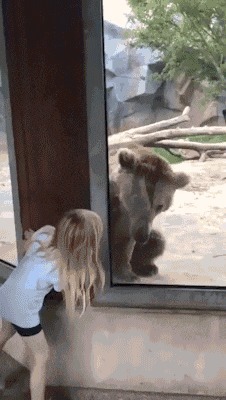 |搞笑GIF：姑娘真的好漂亮，找个这样的女朋友还不错吧！