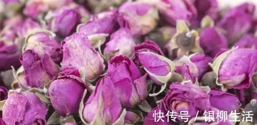 每天吃一个鸡蛋，对身体好处多，但红壳与白壳的区别，你可懂吗？