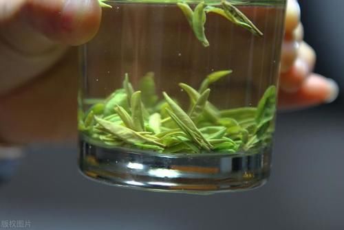 泡茶时要不要先洗茶？什么茶不用洗？洗茶真能洗掉脏东西吗？