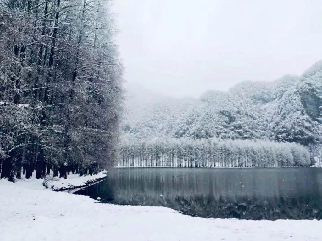 县区|初雪！周边县区雪景美图来袭！