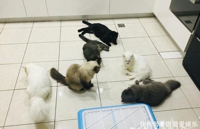 哈希娱乐- 哈希游戏平台- 哈希游戏官方网站南方暴雨大暴雨又将上线日最强！行程最好避开强降水时段