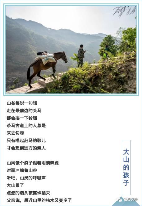  大山|少年和他的《果巴阿娜》