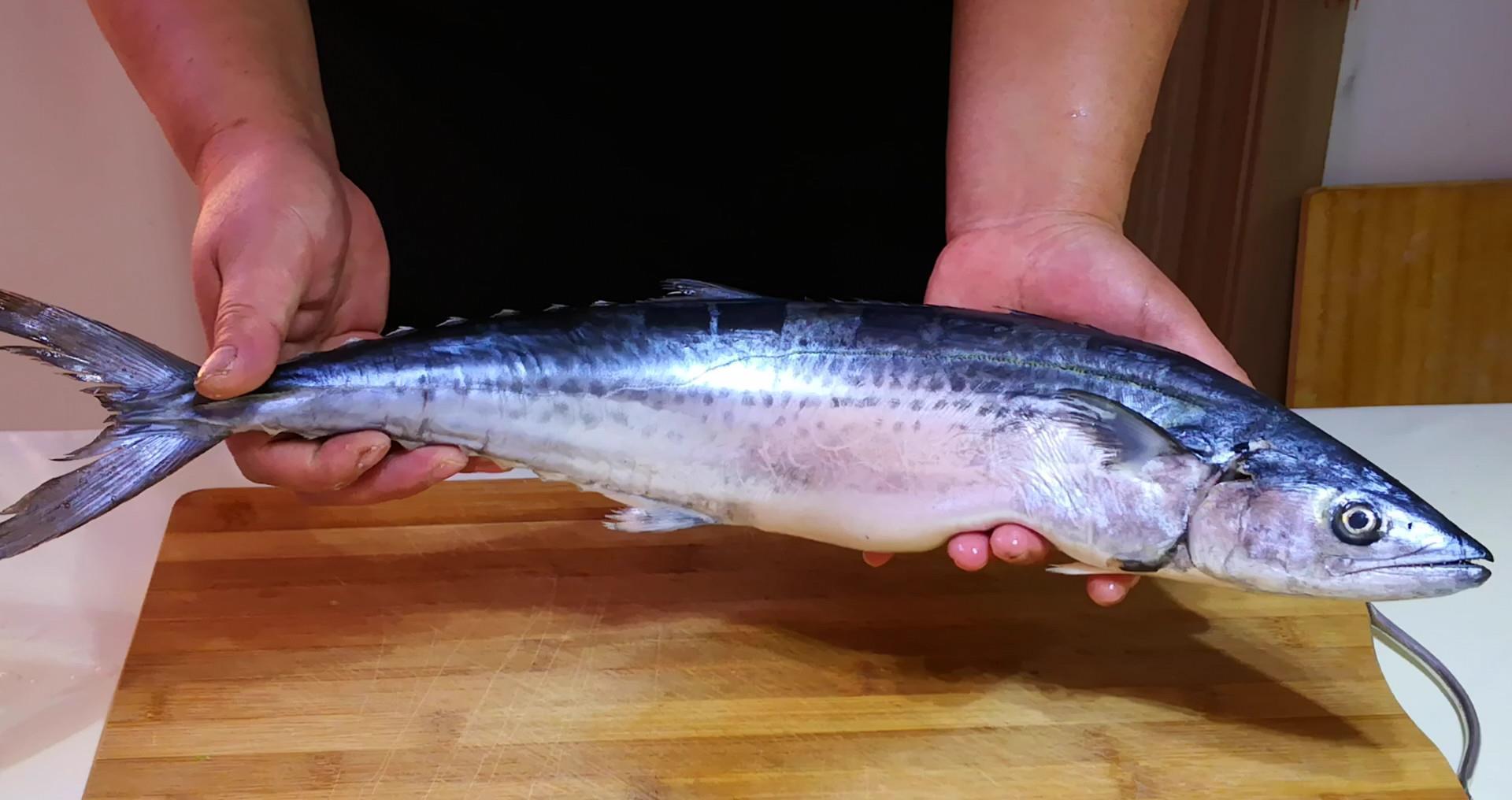 一样是“鲅”鱼,鲐鲅鱼和鲅鱼有啥区别?注意别买错,买错差别大