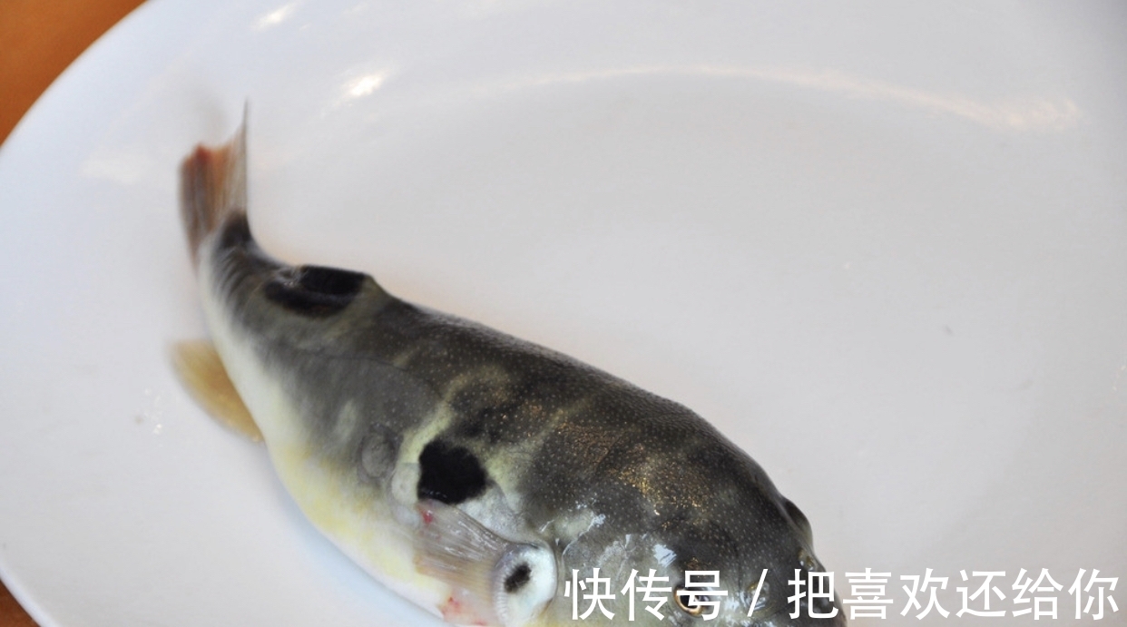 包间|名侦探柯南解析——流水亭杀人事件,日本顶级料理河豚鱼子酱!