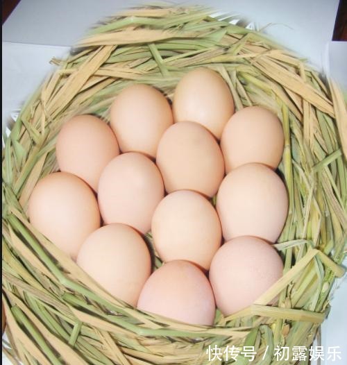 吃这么多年鸡蛋，今天才知道红壳和白壳的区别，别再买错了