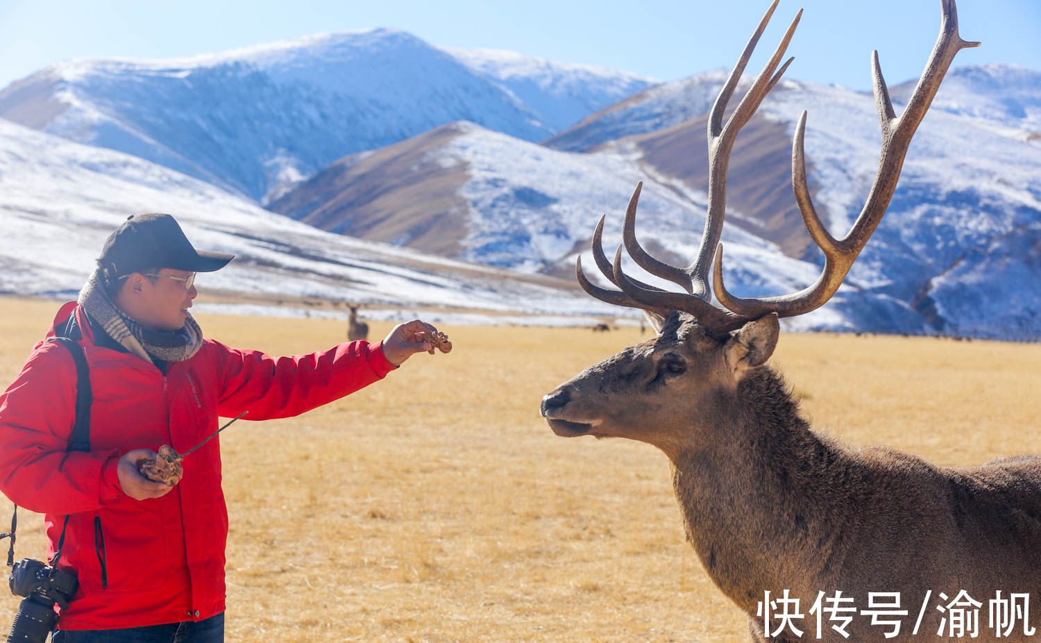 类乌齐|西藏小城以大山为名，雪山湖泊马鹿美如画，被称为东方小瑞士