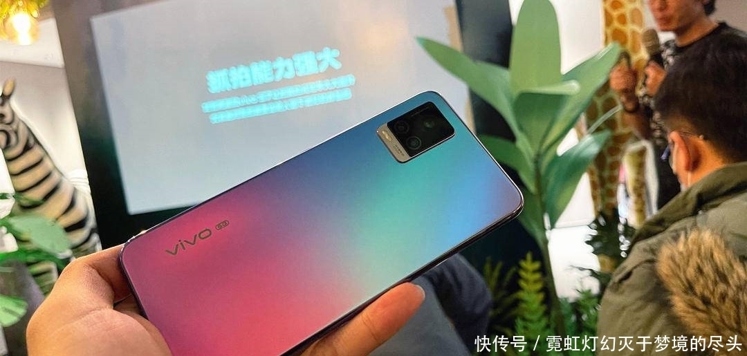 高像素|加持高像素只为解析力?vivo S7丛林秘境展对样张细节的要求更严苛
