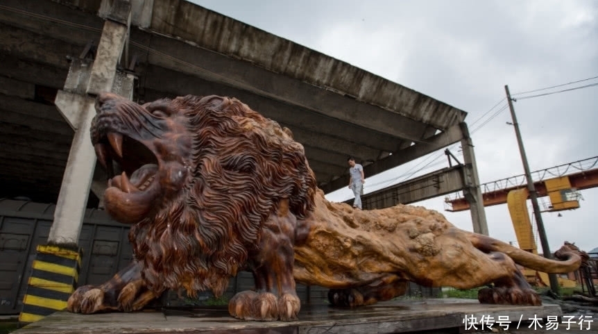 楠木|用30吨楠木雕成的巨狮三百万不卖,出价千万无人买,已搁置5年