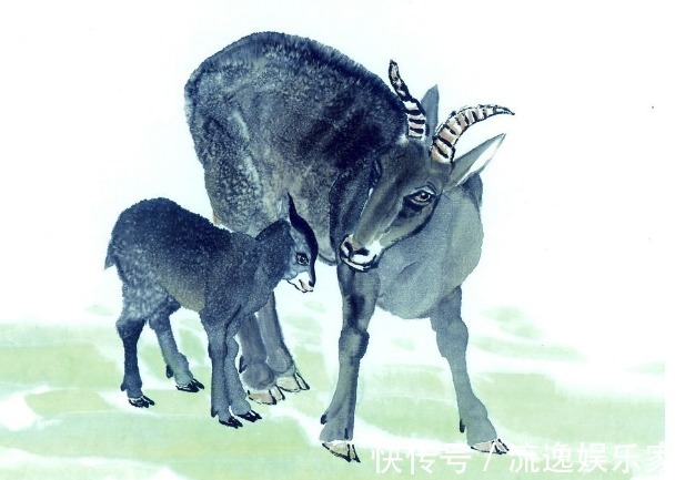 属相|生肖羊最怕和什么属相成婚大事的话不假,一起看看是不是你