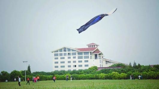 碧海金沙|夏天要看海！奉贤这份“观海攻略”请查收