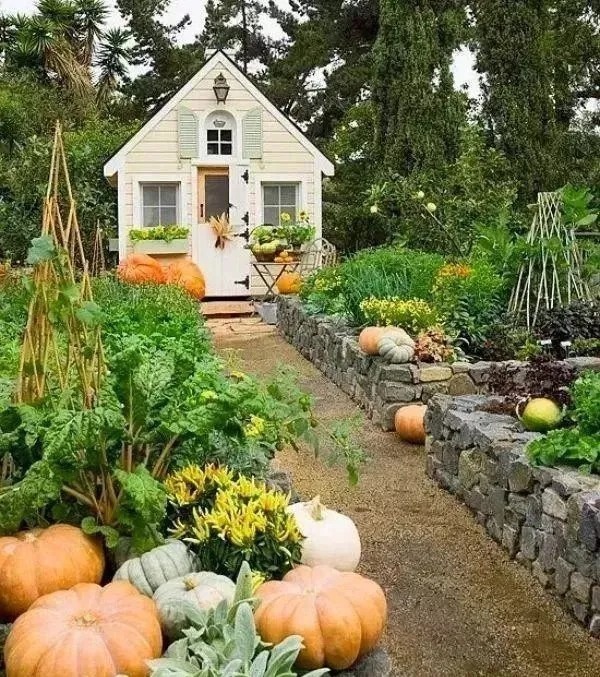 我们心中的小院, 每晚睡前都幻想着它的模样