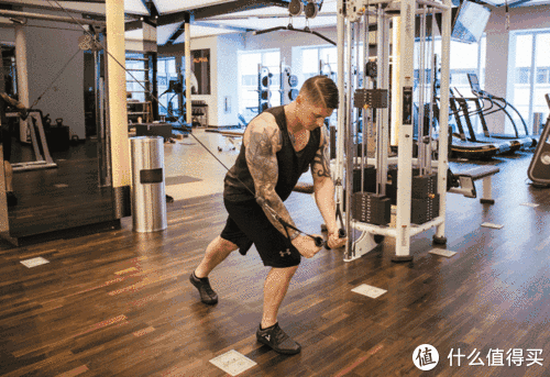 飞鸟|秋季健身滑轮系统飞鸟高低拉浅谈篇一