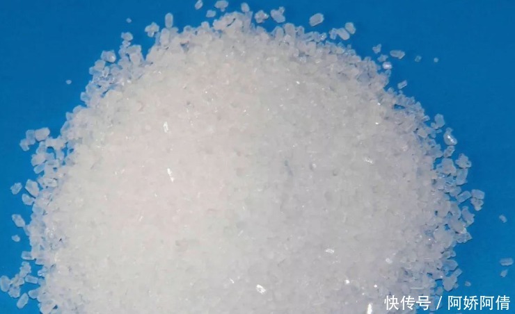 基础|光、肥、盆、水,作为养花的4大基础点,掌握住才养得好花