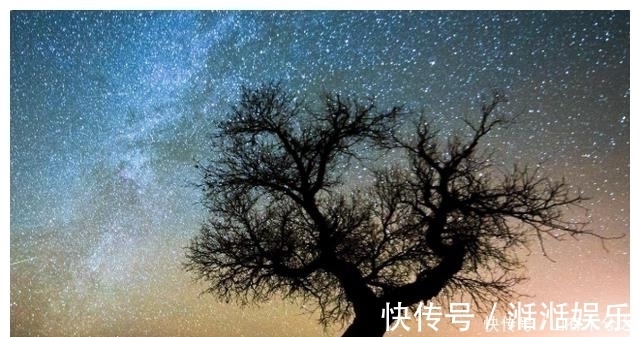 金牛座|十二星座都长着一张什么脸：天秤座是明星脸，水瓶座让人移不开眼