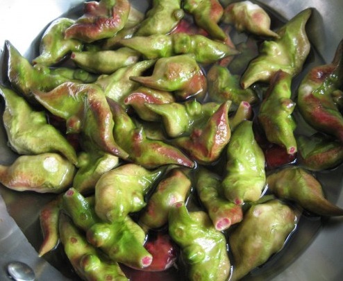 功效|这种农村水里长出来的植物，不仅能补脾益气，还有减肥的功效！