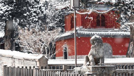 初雪|初雪遇大寒 瑞雪兆丰年