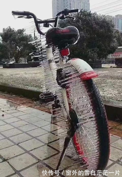 |搞笑图片集 北方人与南方人永远无法互通的冷 了解一下!