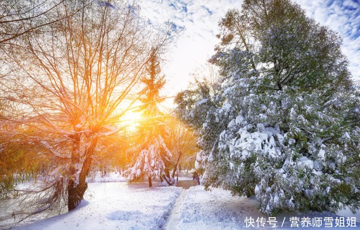 寒冬|今日冬至,饮一汤,食二果,揉三处,做四事,寒冬少生病,更健康