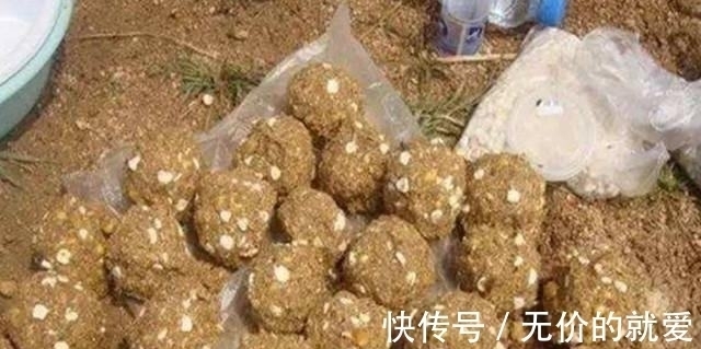 水库垂钓总没渔获,这些技巧试一试,想要空军都难