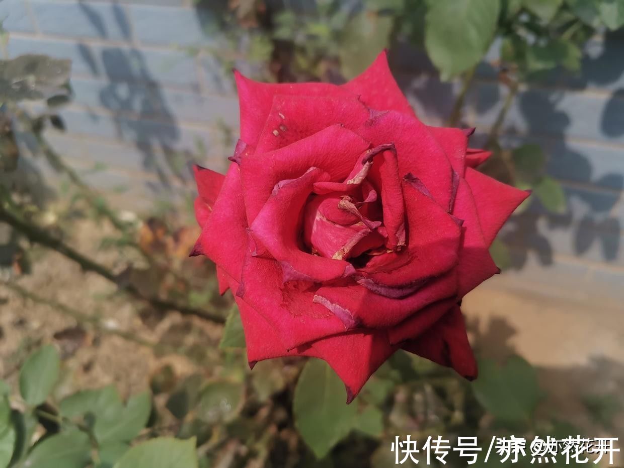 写作#故事写作:学会36种模式,写出精彩故事