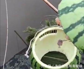 聪明|农村女孩太聪明,将吃完的西瓜皮投入水中,十分钟后获得新美食