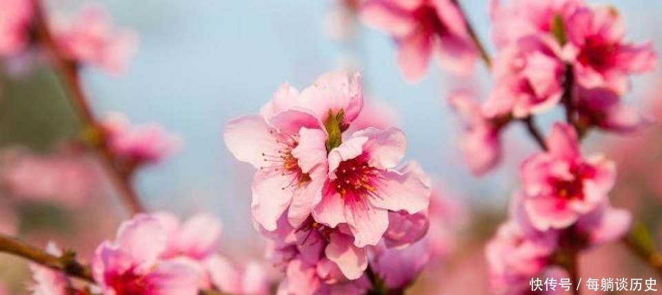 低估|杨万里这首诗美得令人惊艳,但很显然被低估了,也是难得的佳作