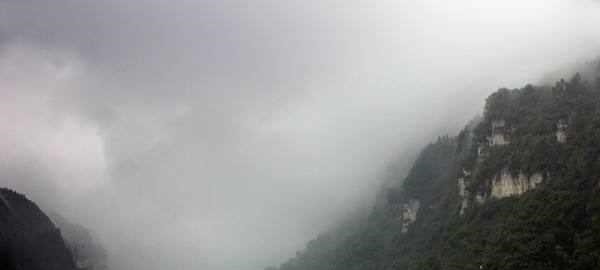 除害,村里小河湾,钓起四十多斤长江怪鱼,没人知道从何而来