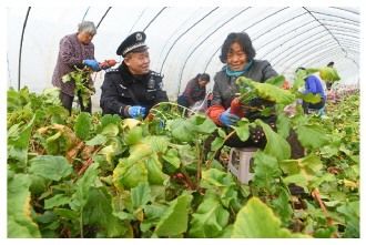 基层|民警老赵回村记