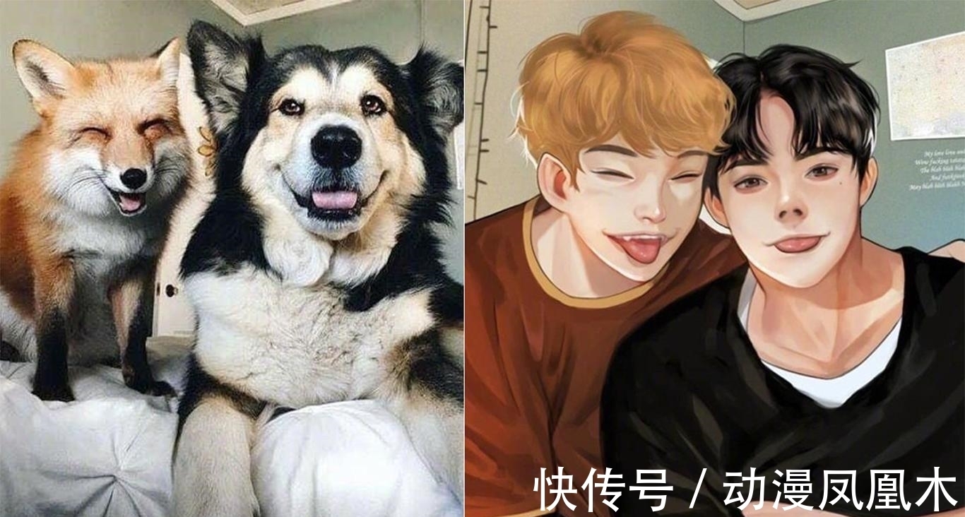 二次元化|当动物被画师二次元化,可盐可甜可帅气,还是纸片人更让人心动