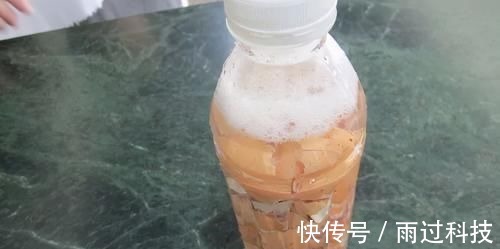 养花|拿到蛋壳别急着养花,按“这要求”处理,给植物施肥才不出问题