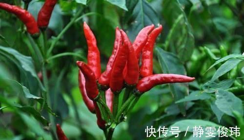 改善睡眠|中国约有3亿人失眠？晚餐5种食物是“祸根”，饭桌上常有！