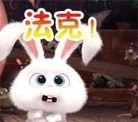 简介|“八本精品必看的小说”老书虫福音,千万不要错过了哟