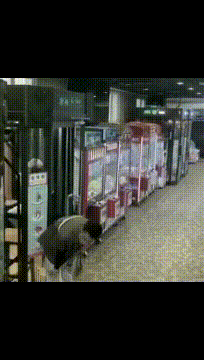 |搞笑GIF:小哥哥,你这么做,真的不怕失去女朋友吗