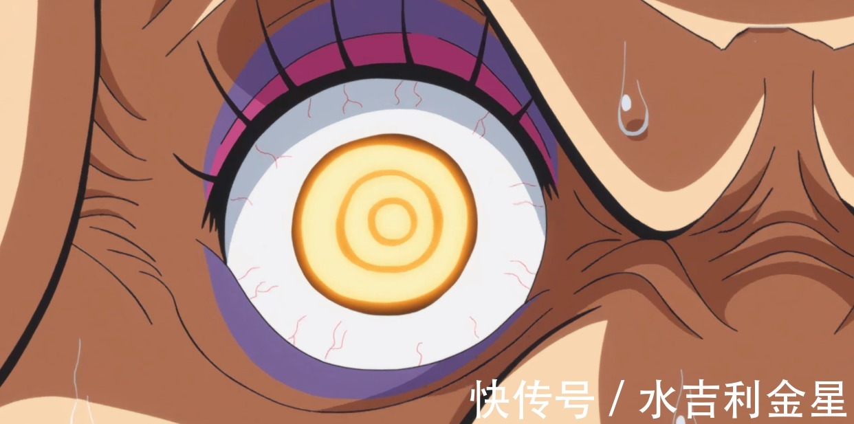 情报|海贼王官方情报身高超35000米，一鼻甩飞三灾JACK, 巨大生物象主