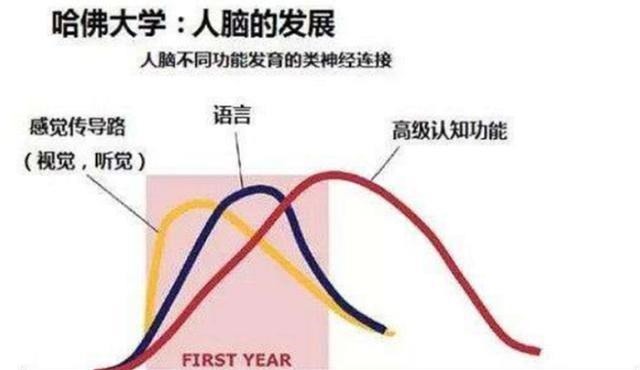孩子|哈佛大学研究:孩子一生中变聪明的时机很短暂,家长千万不能错过