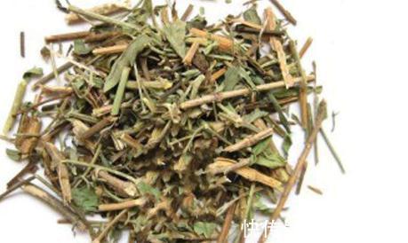 服用|十个人九个腰痛,用此草泡水喝,活血化瘀,腰不痛了,早喝早好