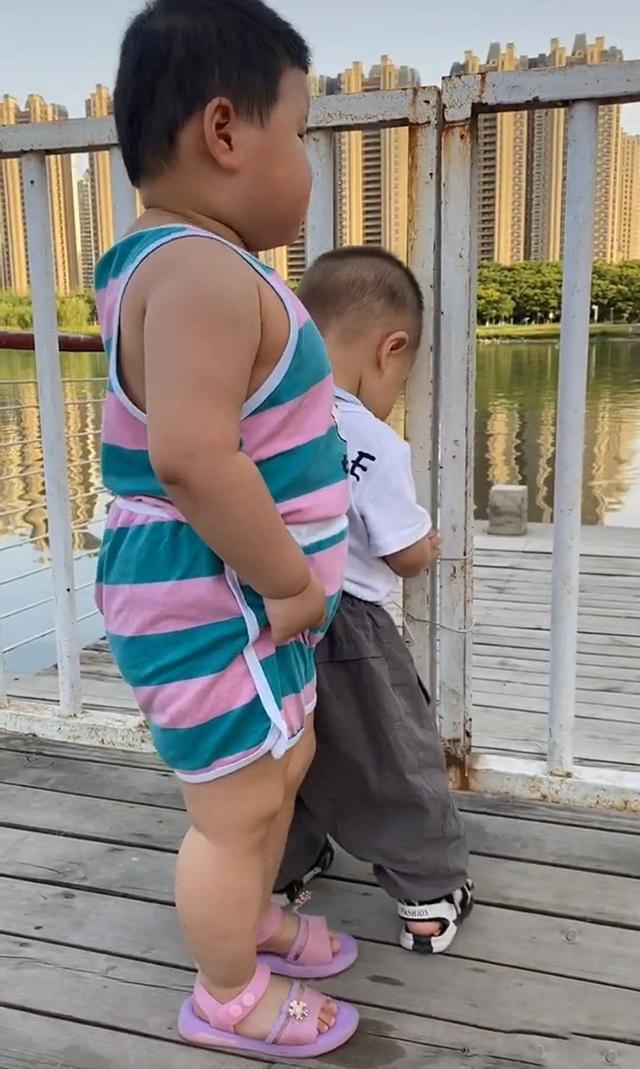 孩子|两个同龄宝宝相遇,体型差距让宝妈难以置信,网友完全是S和L