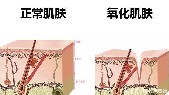 粉底刷|屈臣氏里你不知道的隐藏好物,价格便宜又好用,遇到“别犹豫”