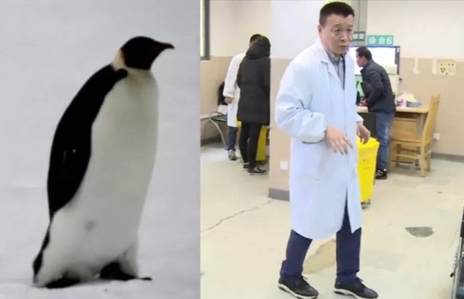 运动|脾胃不好,全身都差!一种奇怪的运动,治好了很多人的老胃病