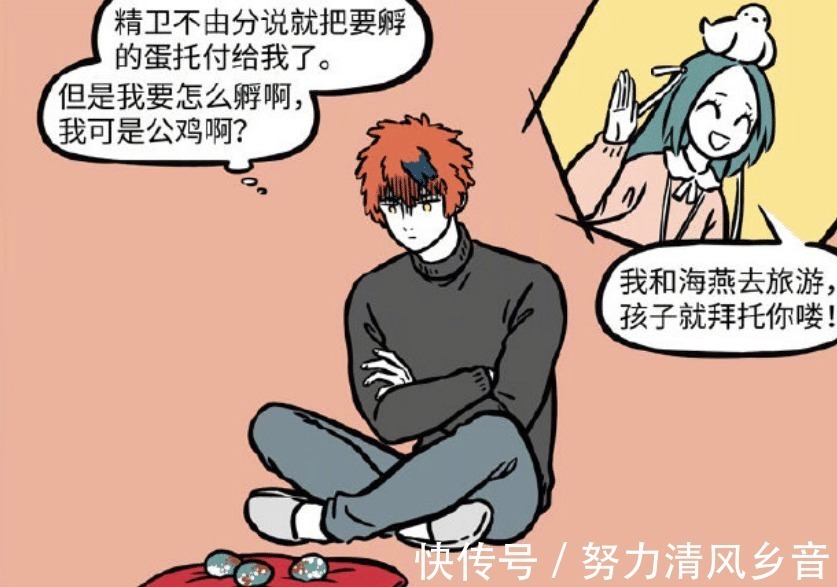 鸡蛋|非人哉精卫和海燕去旅游,留下鸡蛋让星君孵化,这母爱溢出了屏幕