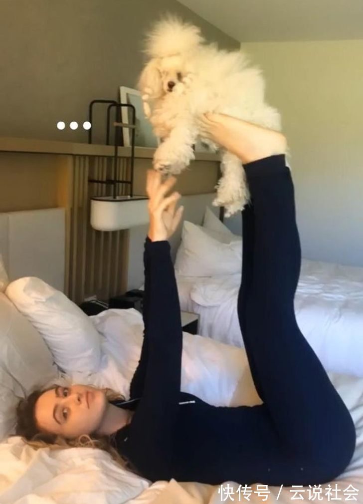 宠物|姿势比人类还专业？20个「宠物做瑜伽」的爆笑瞬间