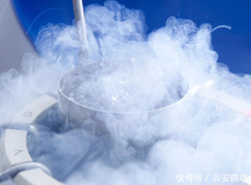 冷冻|贝安:试管婴儿移植成功后,还有冷冻的胚胎要怎么处理?