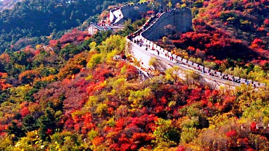 万里长城|巍巍长城亘山川，枫叶流丹，万山红遍，层林尽染，景色万千