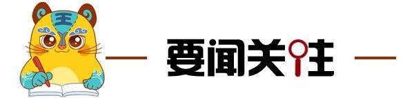 乒乓小将|小虎滨滨早新闻｜擅改建筑外立面受罚；两乒乓小将夺省锦标赛金牌