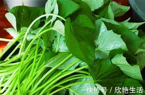 维生素c|聪明的人喜欢吃3种食物，排毒养颜、延缓衰老，早吃早受益！