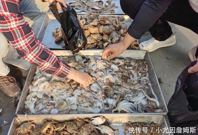 生活|这个胶东沿海小渔村,最适合美食家生活,想吃啥海鲜都有